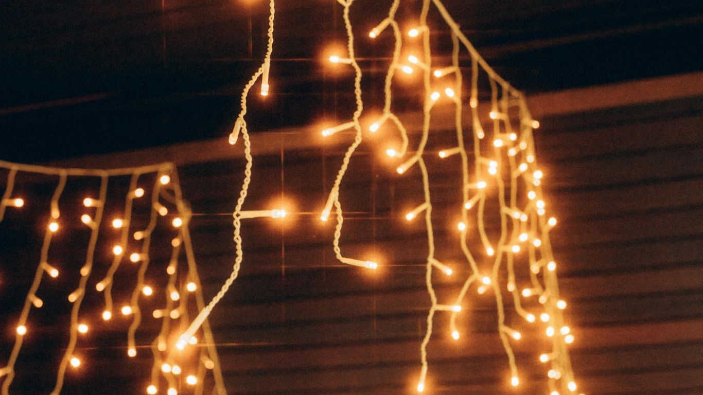 fairy wedding lights